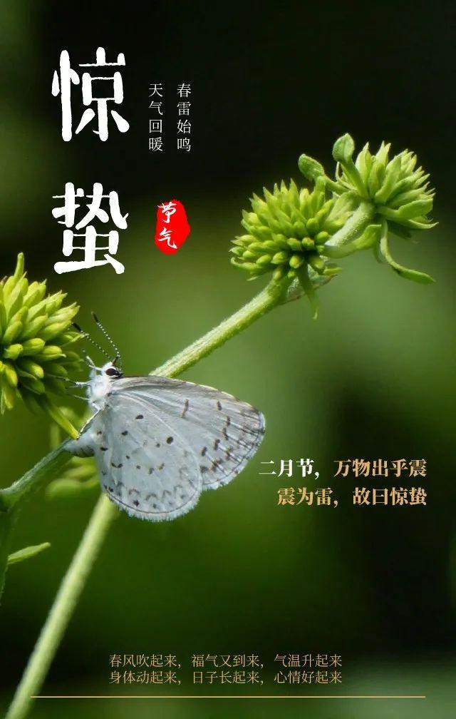 殷诗句<a href=http://www.bazhanggui.com/pifu/toumingpf/368.html target=_blank class=infotextkey>文案</a><a href=http://www.bazhanggui.com/duanju/lizhidj/ target=_blank class=infotextkey>励志</a>配图(<a href=http://www.bazhanggui.com/duanju/lizhidj/ target=_blank class=infotextkey>励志</a><a href=http://www.bazhanggui.com/qianming/baqiqm/18427.html target=_blank class=infotextkey>语录</a><a href=http://www.bazhanggui.com/pifu/toumingpf/365.html target=_blank class=infotextkey>经典</a><a href=http://www.bazhanggui.com/duanju/ target=_blank class=infotextkey>短句</a>)