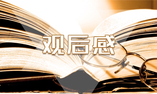 最新《大国工匠》观后感心得体会2022模板11篇