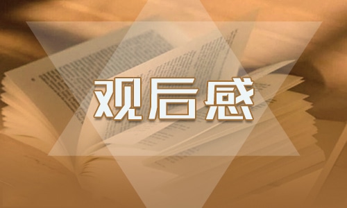 《现在开讲》思政访谈观后感心得体会