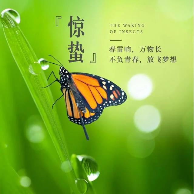 殷诗句<a href=http://www.bazhanggui.com/pifu/toumingpf/368.html target=_blank class=infotextkey>文案</a><a href=http://www.bazhanggui.com/duanju/lizhidj/ target=_blank class=infotextkey>励志</a>配图(<a href=http://www.bazhanggui.com/duanju/lizhidj/ target=_blank class=infotextkey>励志</a><a href=http://www.bazhanggui.com/qianming/baqiqm/18427.html target=_blank class=infotextkey>语录</a><a href=http://www.bazhanggui.com/pifu/toumingpf/365.html target=_blank class=infotextkey>经典</a><a href=http://www.bazhanggui.com/duanju/ target=_blank class=infotextkey>短句</a>)