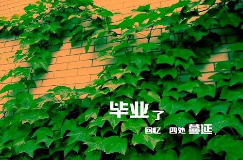 谁的青春不迷茫（原创）