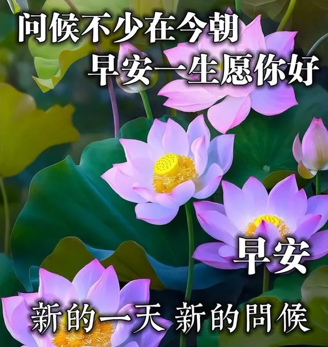 努力<a href=http://www.bazhanggui.com/qianming/baqiqm/18428.html target=_blank class=infotextkey>学习</a>的<a href=http://www.bazhanggui.com/duanju/lizhidj/ target=_blank class=infotextkey>励志</a><a href=http://www.bazhanggui.com/pifu/toumingpf/368.html target=_blank class=infotextkey>文案</a>配图(<a href=http://www.bazhanggui.com/duanju/lizhidj/ target=_blank class=infotextkey>励志</a><a href=http://www.bazhanggui.com/pifu/toumingpf/368.html target=_blank class=infotextkey>文案</a><a href=http://www.bazhanggui.com/gushi/qinggangs/2893.html target=_blank class=infotextkey>正能量</a>治愈干净配图)