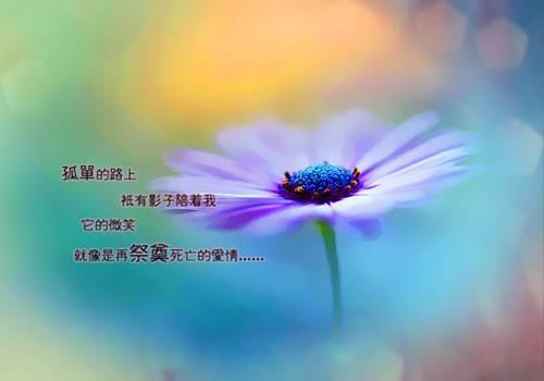 一个人安静的夜晚<a href=http://www.bazhanggui.com/pifu/toumingpf/370.html target=_blank class=infotextkey>句子</a>